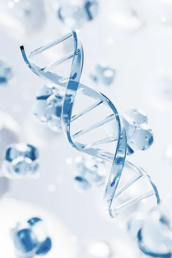 Anti-Aging-Treatment 3D illustration of a youthful DNA spiral. Get Anti-Aging treatment from Scott Gulinson, MD, FACOG in Phoenix.